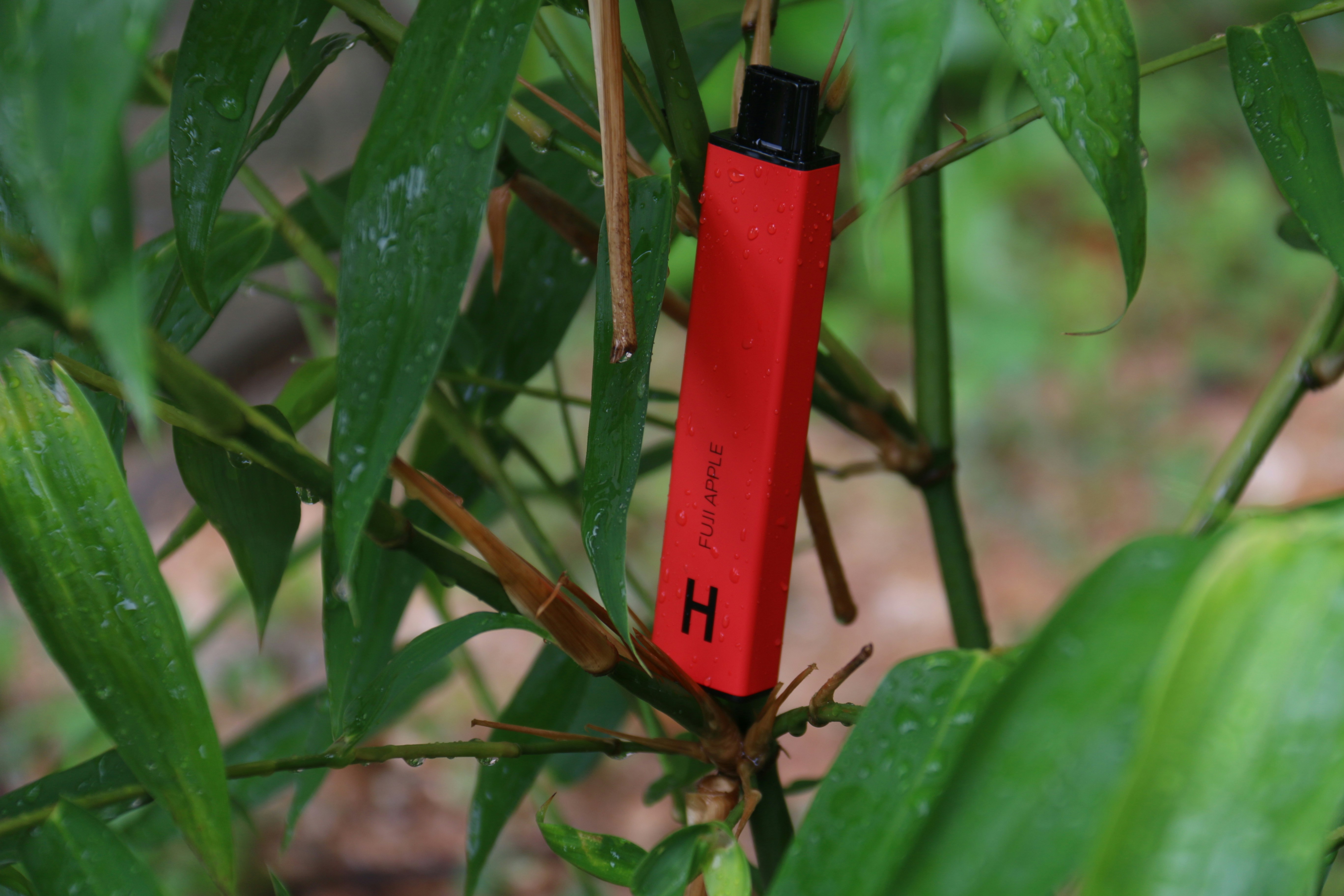 elektronická cigareta